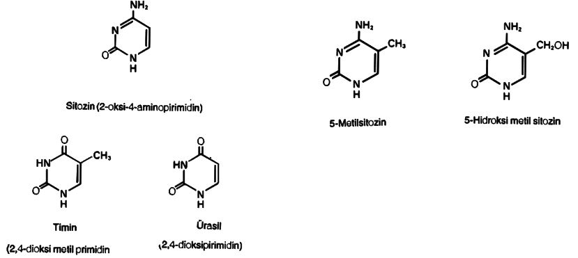 Ad:  n3.JPG
Gsterim: 3104
Boyut:  29.7 KB