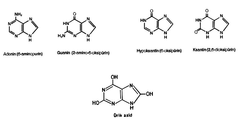 Ad:  n4.JPG
Gsterim: 3146
Boyut:  33.7 KB