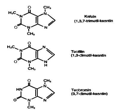 Ad:  n5.JPG
Gsterim: 2693
Boyut:  23.2 KB