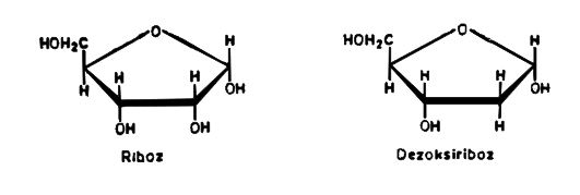 Ad:  n7.JPG
Gsterim: 2715
Boyut:  17.6 KB