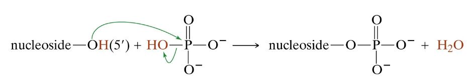 Ad:  nk2.JPG
Gsterim: 2514
Boyut:  19.9 KB