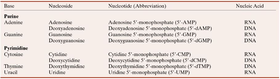 Ad:  nk3.JPG
Gsterim: 2508
Boyut:  57.4 KB