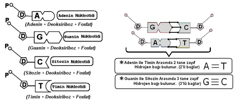 Ad: nk.JPG
Gösterim: 1186
Boyut: 55.7 KB