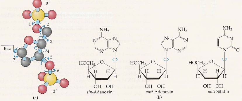Ad: nk3.JPG
Gösterim: 957
Boyut: 43.5 KB
