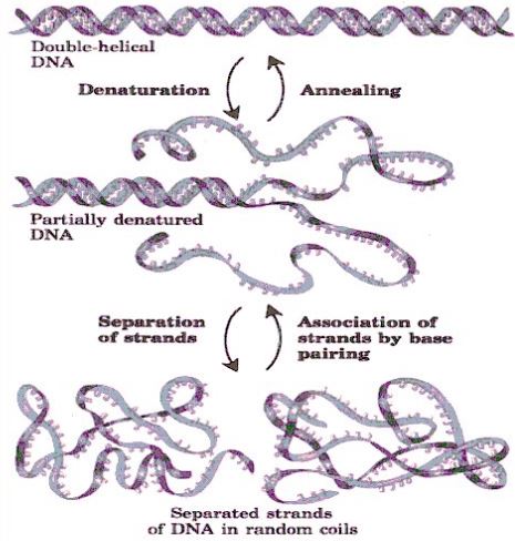 Ad: nk4.JPG
Gösterim: 994
Boyut: 49.0 KB