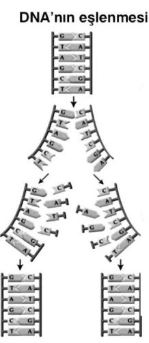 Ad: nk5.JPG
Gösterim: 951
Boyut: 23.8 KB