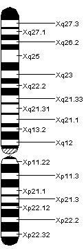 Ad:  Chromosome_X.jpeg
Gsterim: 18891
Boyut:  11.1 KB