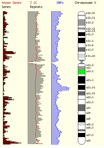 Ad: Chromosome_X_Etude_Inactivation_X.PNG
Gösterim: 19382
Boyut: 14.7 KB