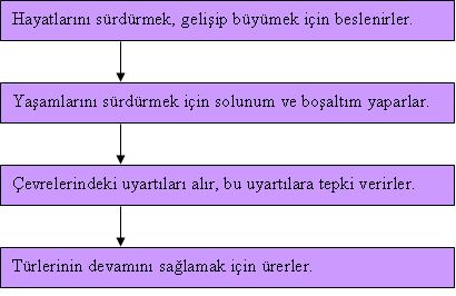 Ad:  3.jpg
Gsterim: 1724
Boyut:  22.1 KB