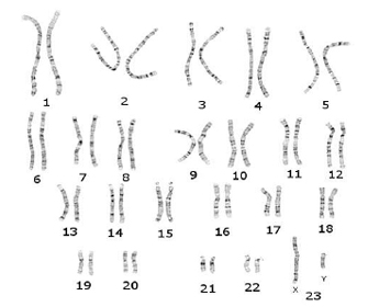 Ad: 1.jpg
Gösterim: 24420
Boyut: 31.0 KB