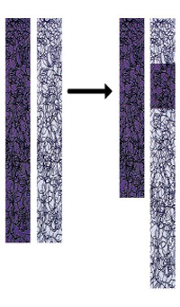 Ad: 7.jpg
Gösterim: 18670
Boyut: 25.1 KB