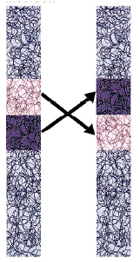 Ad: 8.jpg
Gösterim: 18624
Boyut: 35.0 KB