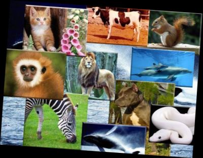 Ad:  ad2.jpg
Gsterim: 2324
Boyut:  30.6 KB