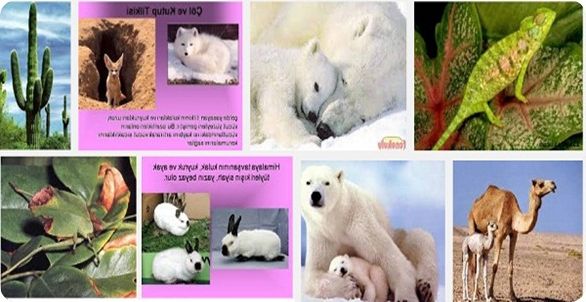 Ad:  ad1.jpg
Gsterim: 5056
Boyut:  43.6 KB