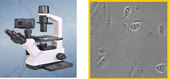 Ad: faz.JPG
Gösterim: 3416
Boyut: 31.9 KB