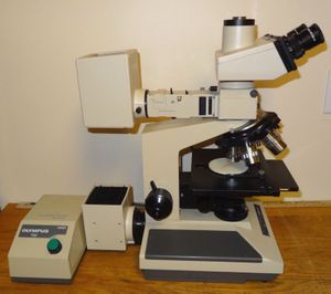 Ad: Nomarski Görüntülemesi (DIC).JPG
Gösterim: 2671
Boyut: 12.2 KB