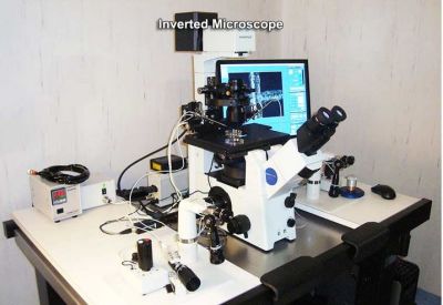 Ad: inv.JPG
Gösterim: 2853
Boyut: 27.9 KB