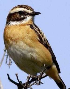 Ad:  ta kuu.jpg
Gsterim: 537
Boyut:  36.7 KB