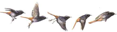 Ad:  1.jpg
Gsterim: 2833
Boyut:  3.8 KB