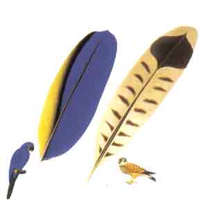 Ad:  3.jpg
Gsterim: 2465
Boyut:  4.1 KB