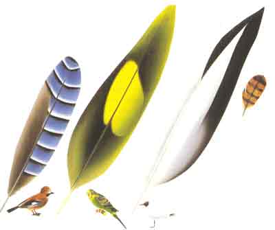 Ad:  5.jpg
Gsterim: 2527
Boyut:  6.7 KB