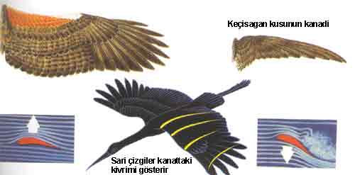 Ad: 6.jpg
Gösterim: 2771
Boyut: 10.1 KB Ad: 6.jpg
Gösterim: 2771
Boyut: 10.1 KB