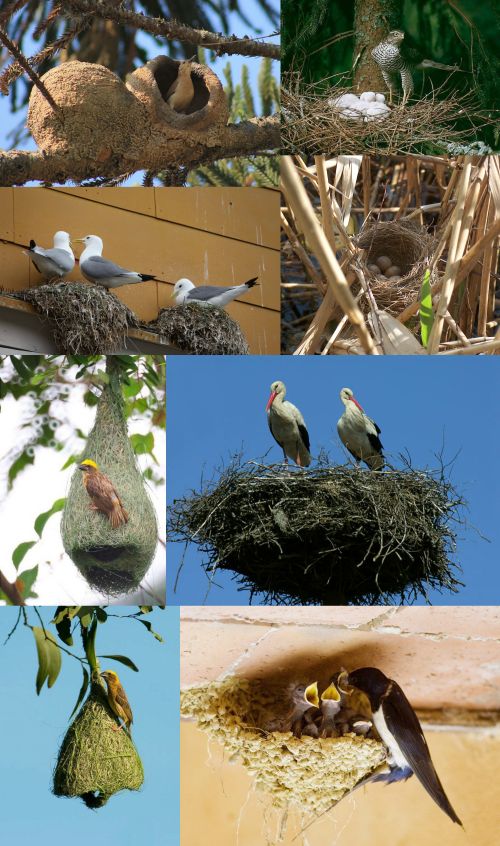 Ad:  ku3.jpg
Gsterim: 3231
Boyut:  101.7 KB