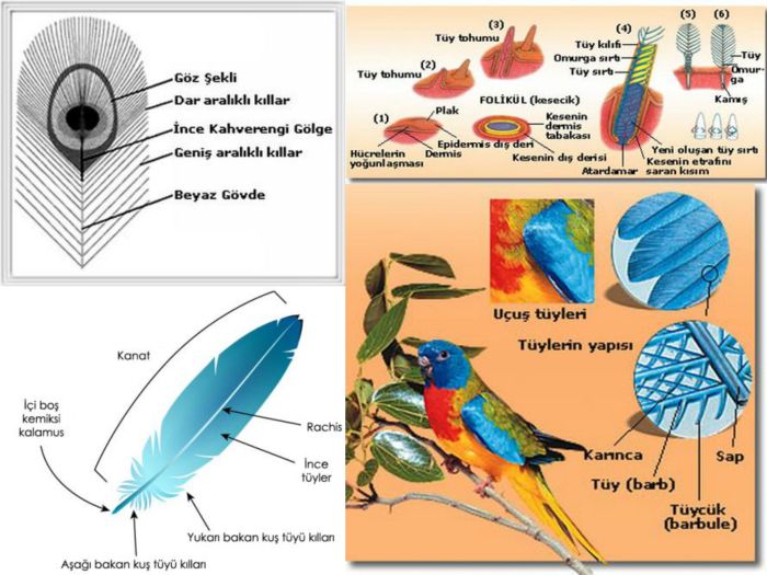 Ad:  ty.jpg
Gsterim: 3646
Boyut:  70.2 KB