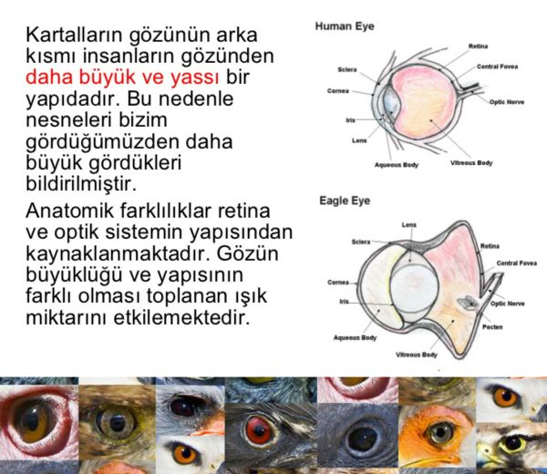 Ad:  gz.jpg
Gsterim: 2161
Boyut:  63.7 KB