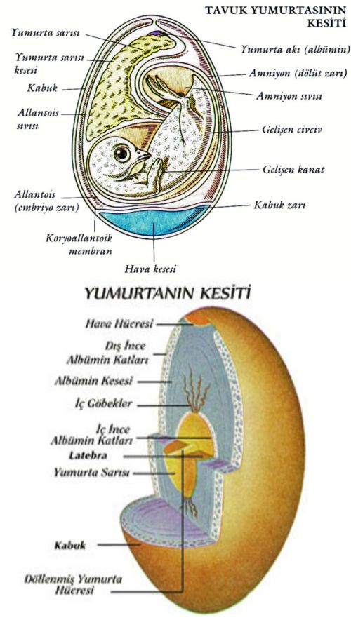 Ad:  yum.jpg
Gsterim: 2698
Boyut:  70.0 KB