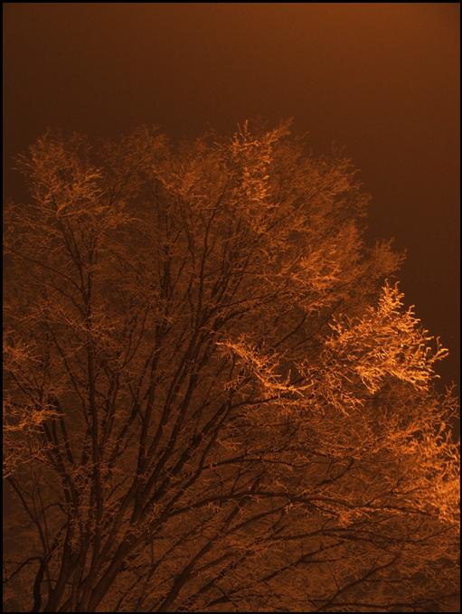 Ad:  dscf5510.jpg
Gsterim: 281
Boyut:  54.9 KB