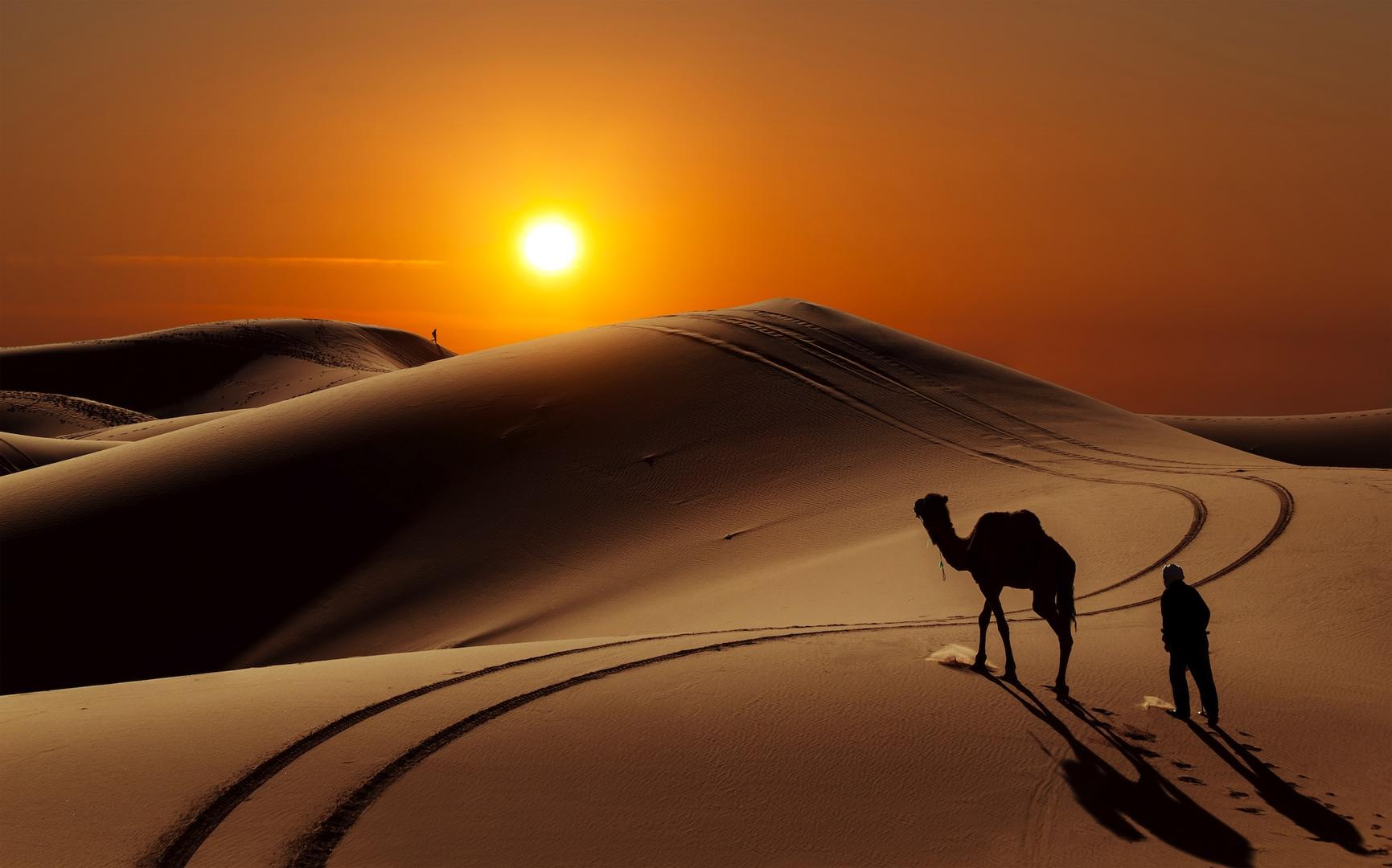 Ad:  hnat0189-doga-manzarali-duvar-kagidi-ev-dekorasyon-colde-yapayalniz.jpg
Gsterim: 901
Boyut:  128.4 KB