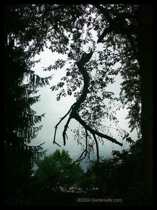 Ad:  tree_lightening.jpg
Gsterim: 284
Boyut:  142.1 KB