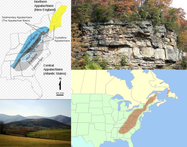 Ad:  appalalar dalar.jpg
Gsterim: 733
Boyut:  65.6 KB