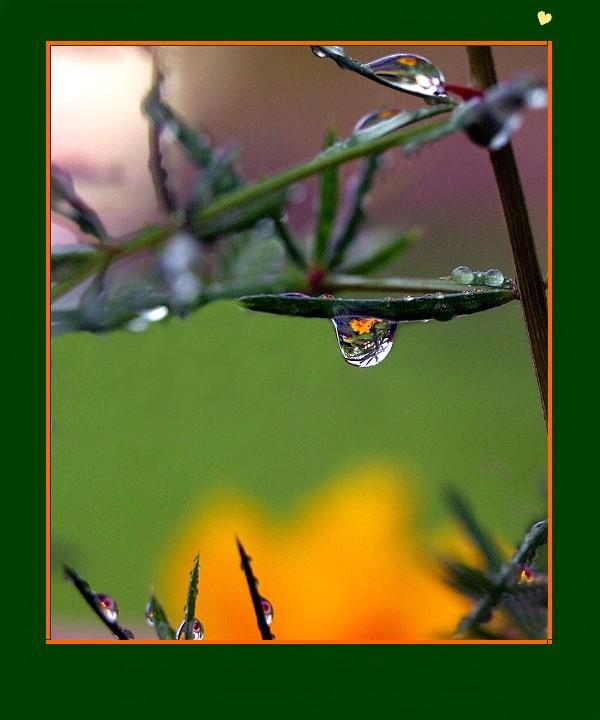 Ad:  yellowflower_reflectionstl.jpg
Gsterim: 316
Boyut:  40.2 KB