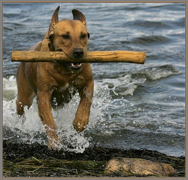 Ad:  stick.jpg
Gsterim: 300
Boyut:  131.5 KB