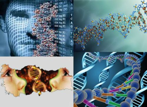 Ad:  gen haritas.jpg
Gsterim: 1396
Boyut:  45.1 KB