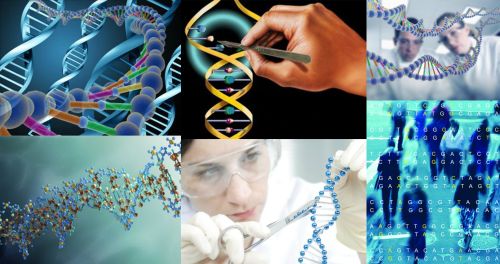 Ad:  gen terapi.jpg
Gsterim: 2550
Boyut:  36.3 KB