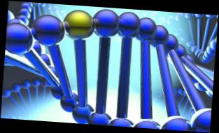 Ad:  gen hast.jpg
Gsterim: 2010
Boyut:  14.5 KB