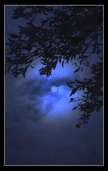 Ad:  reflection_of_the_sun_resized.jpg
Gsterim: 285
Boyut:  36.2 KB