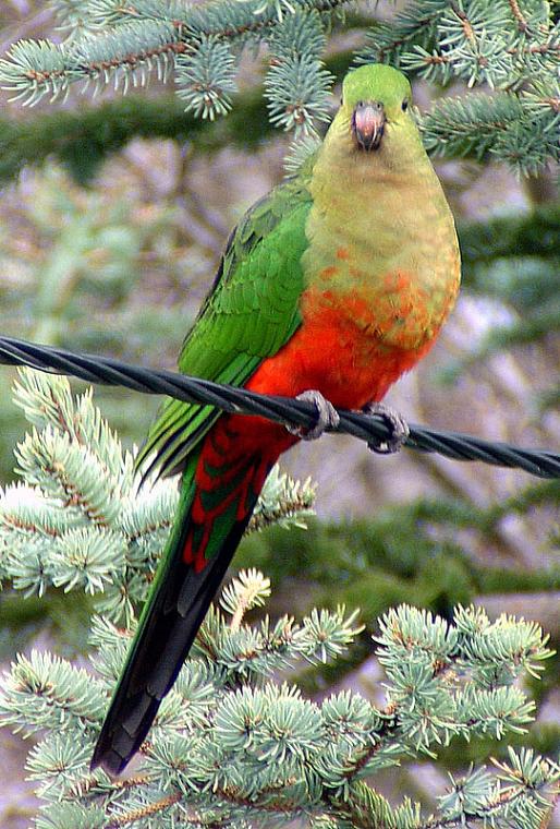 Ad:  look_at_me.jpg
Gsterim: 332
Boyut:  100.1 KB