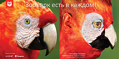 Ad:  zoo_popugay.jpg
Gsterim: 255
Boyut:  134.1 KB