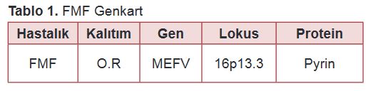 Ad: fmf3.JPG
Gösterim: 2045
Boyut: 19.0 KB