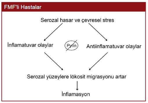 Ad: fmf4.JPG
Gösterim: 2210
Boyut: 30.0 KB