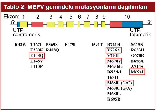 Ad: fmf5.JPG
Gösterim: 2599
Boyut: 42.0 KB