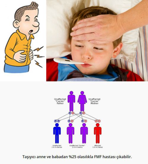 Ad: Ailevi Akdeniz Ateşi (Fmf)3.jpg
Gösterim: 2772
Boyut: 36.9 KB