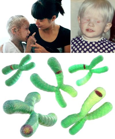 Ad:  genhast1.jpg
Gsterim: 3037
Boyut:  32.4 KB