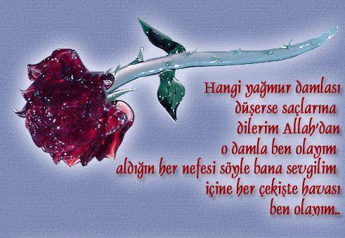 Ad:  %C5%9Fiirli-g%C3%BCl-resimleri-6.jpg
Gsterim: 1027
Boyut:  41.2 KB