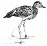 Ad:  d63.jpg
Gsterim: 321
Boyut:  6.8 KB