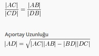 Alntdaki Ek 51544